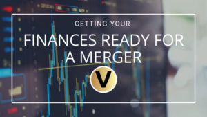 Getting Your Finances Ready for a Merger - Viper Equity Partners