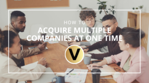 How to Acquire Multiple Companies at One Time - Viper Equity Partners