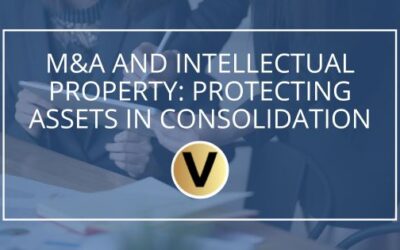 M&A and Intellectual Property: Protecting Assets in Consolidation