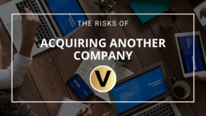 The Risks of Acquiring Another Company - Viper Equity Partners