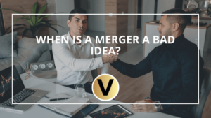 Viper Equity Partners When Is a Merger a Bad Idea?