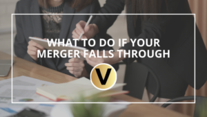 What To Do If Your Merger Falls Through Viper Equity Partners