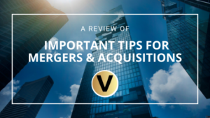 Viper Equity Partners M&a Tips