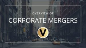 Viper Equity Partners Corporate Mergers