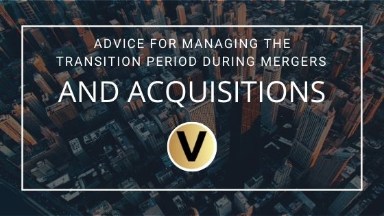 Viper Equity Partners M&a Transition