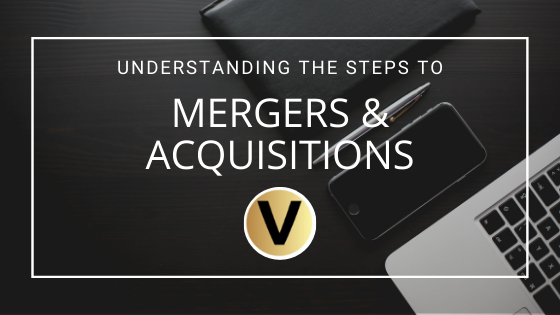 Viper Equity Partners Mergers Acquisition Steps