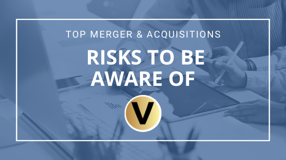 Viper Equity Partners Mergers & Acquisitions Risks