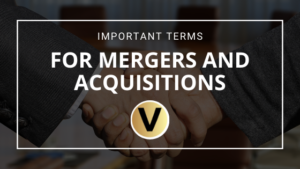 Viper Equity Partners Mergers & Acquisitions Terms