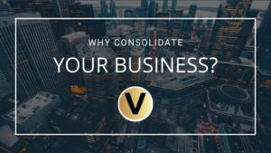 Why Consolidate Your Business Viper Equity Partners